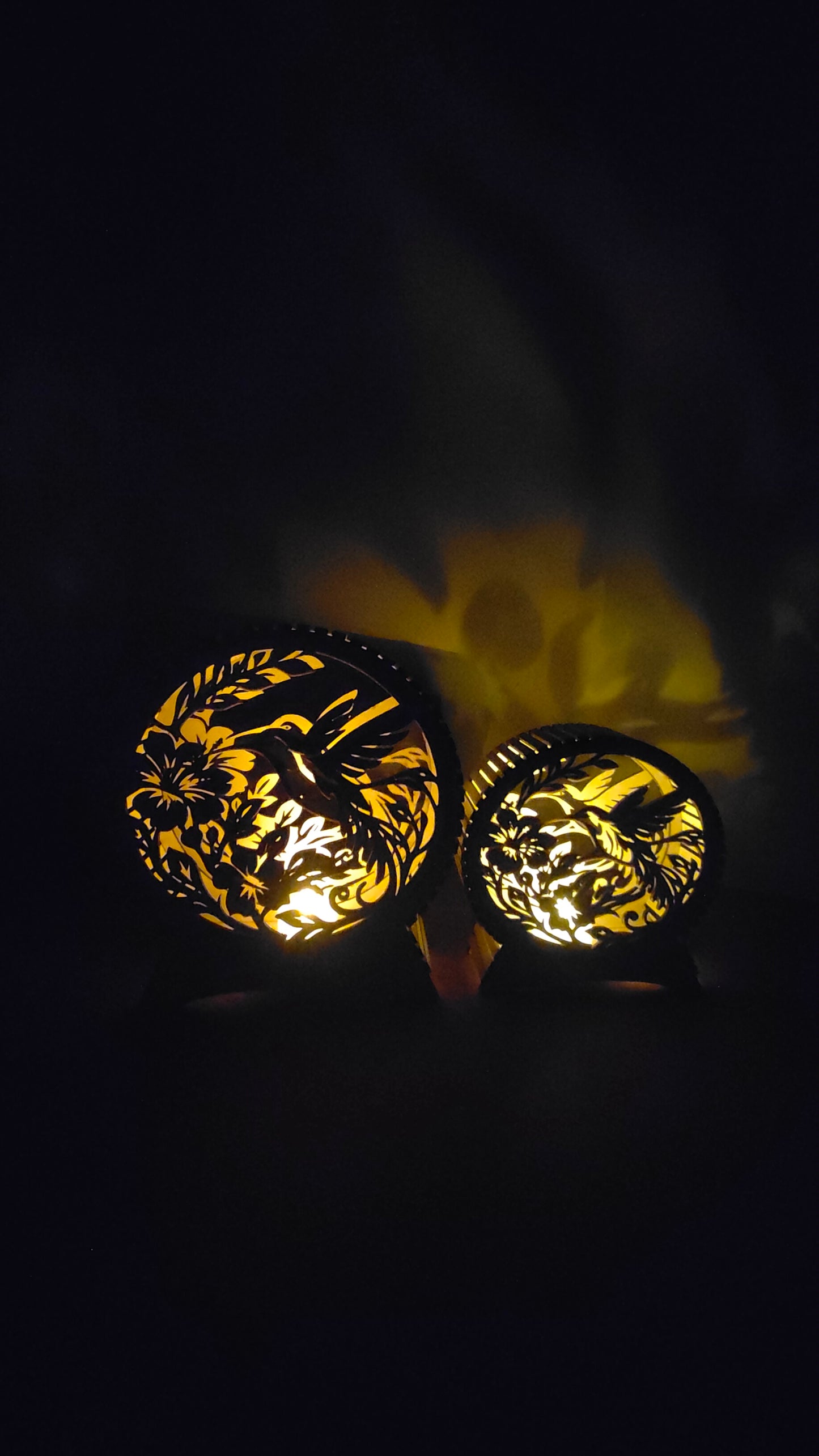 Grand et petit formats de lampes colibri en bois allumés